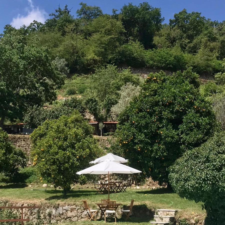 Quinta Dos Carvalhos The Wine House Farm In Center Of Lamego - Capital Of The Douro Villa Ngoại thất bức ảnh