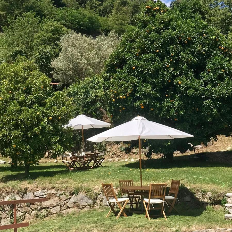 Quinta Dos Carvalhos The Wine House Farm In Center Of Lamego - Capital Of The Douro Villa Ngoại thất bức ảnh