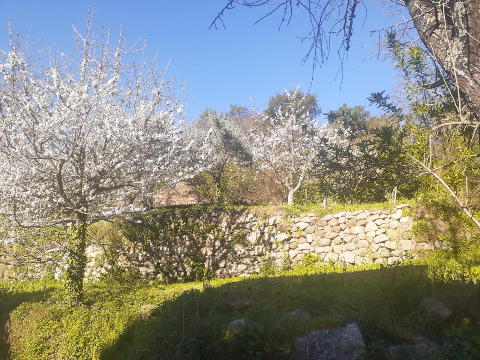 Quinta Dos Carvalhos The Wine House Farm In Center Of Lamego - Capital Of The Douro Villa Ngoại thất bức ảnh